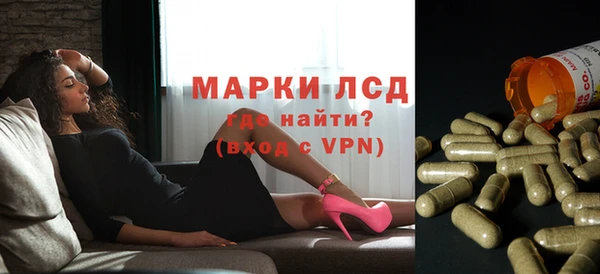 твердый Новокубанск