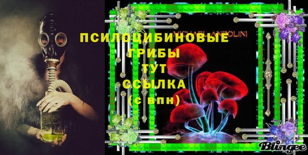 ECSTASY Вяземский