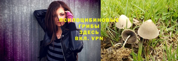 амф Вязьма