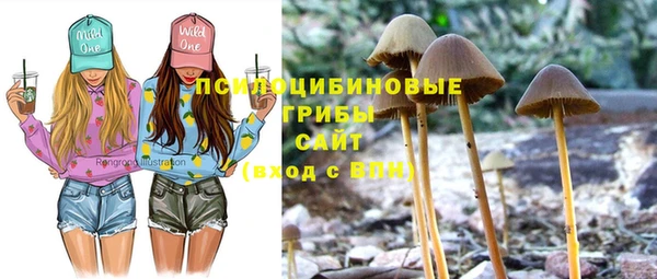 ECSTASY Вяземский