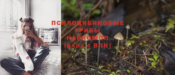 скорость Новодвинск
